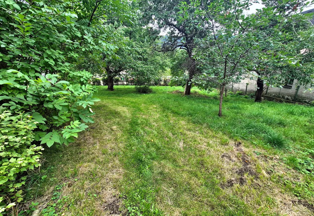 20260907_090606.jpg