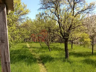 Březová 1028.jpg