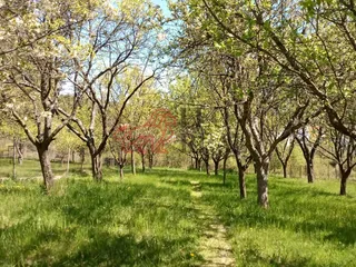 Březová 1030.jpg