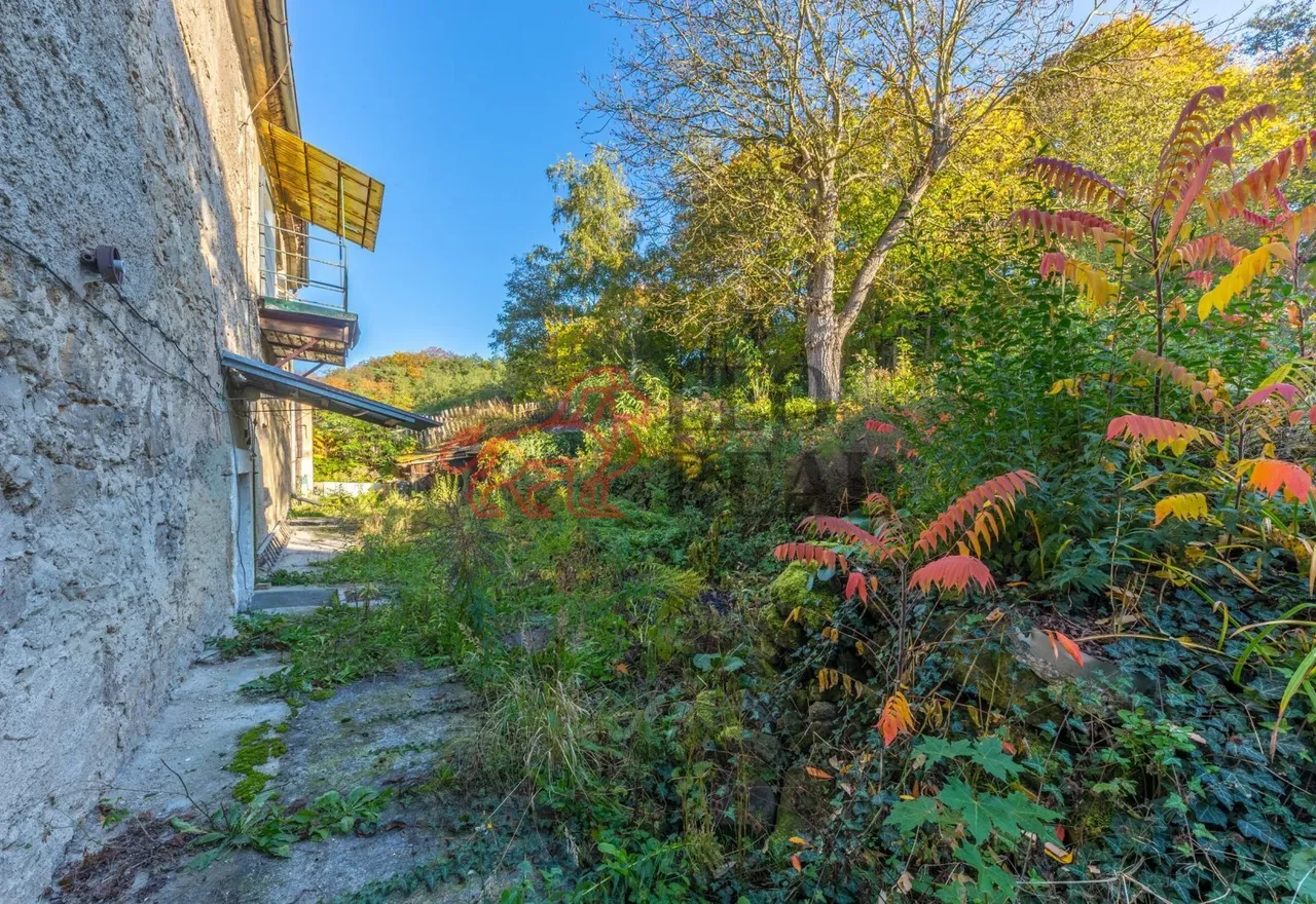 WE6A1207-HDR.jpg