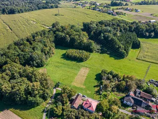 DJI_0780