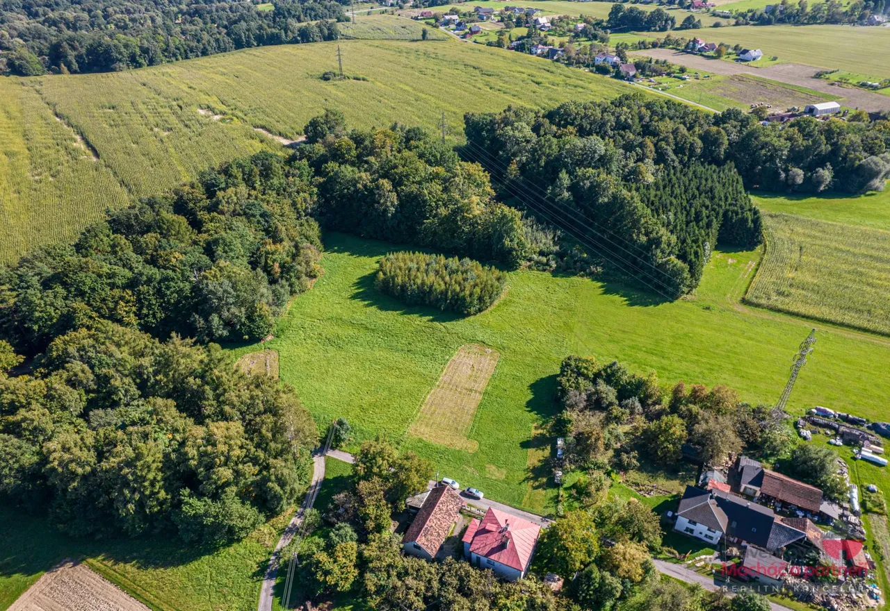 DJI_0780