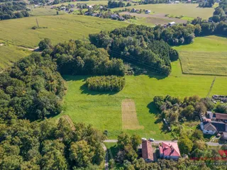 DJI_0781