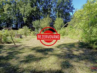 IMG20260814105704_20260814192552_inzerce