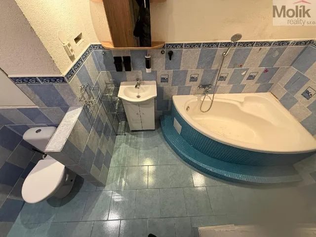 stažený soubor (10)