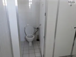 PXL_20251106_113724322.jpg