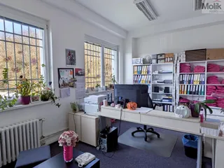 PXL_20251106_111453967.jpg