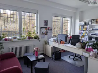 PXL_20251106_111241192.jpg