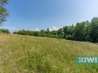 DSC01379