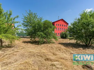 DSC00617