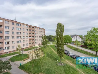 DSC03354