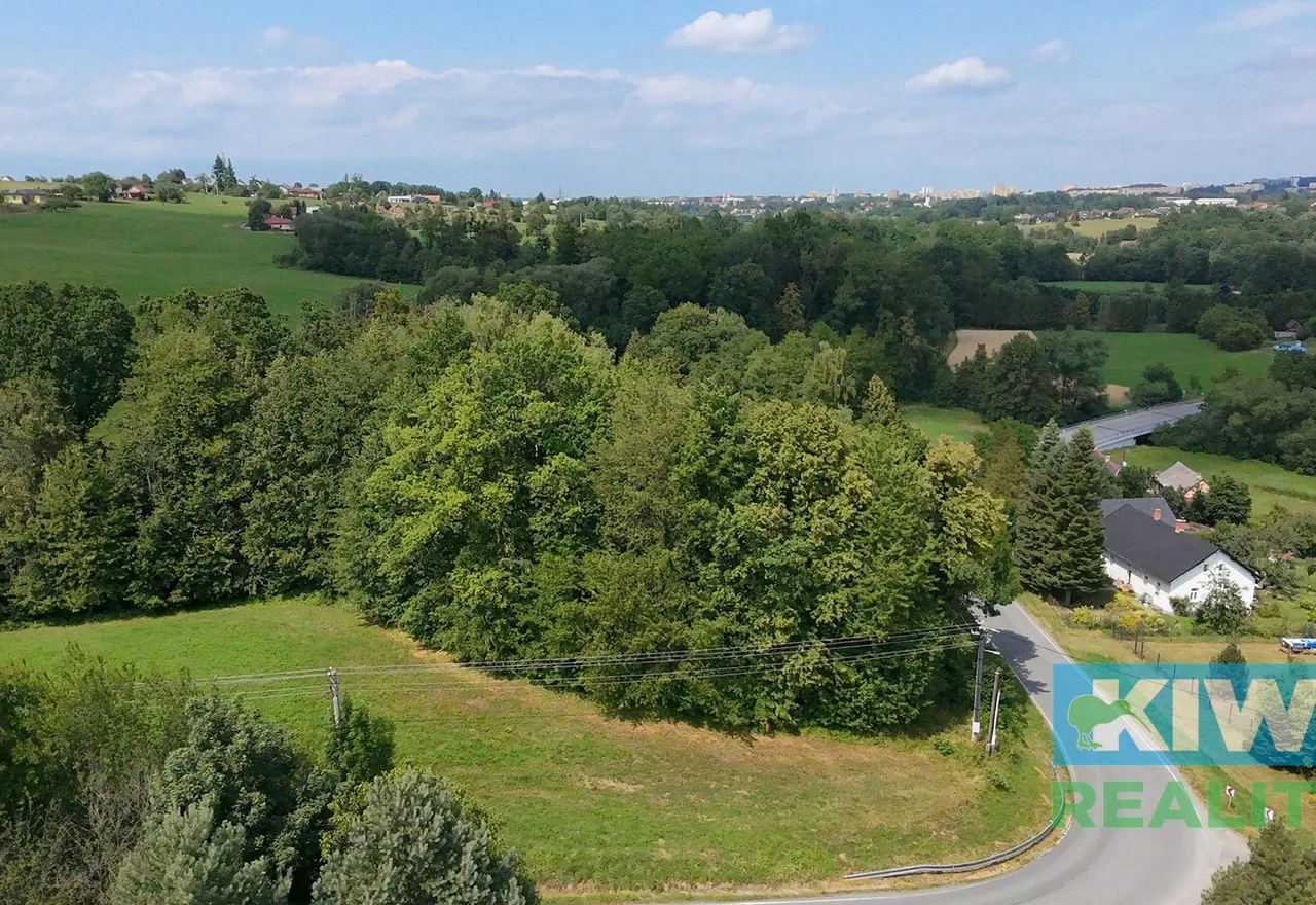 DJI_20250704143430_0009_D
