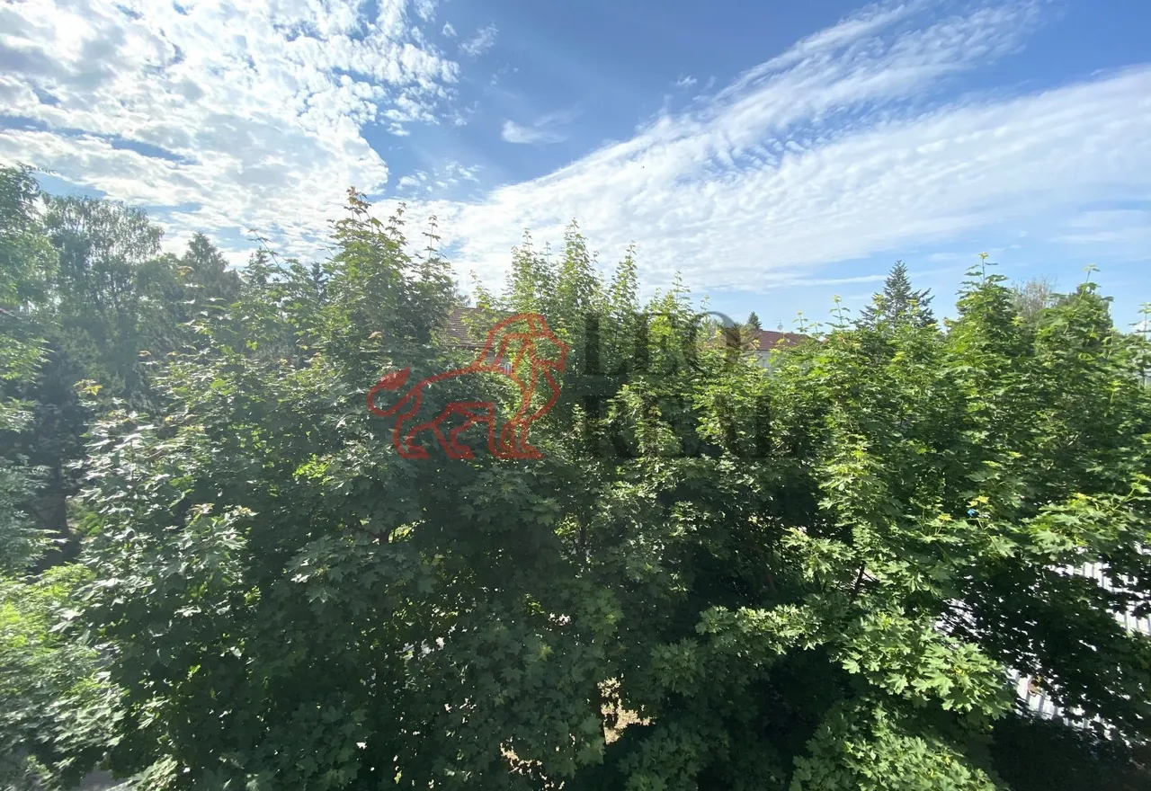 B810BB49-102C-4FC7-B3E7-A4E57D63E6B6.jpeg