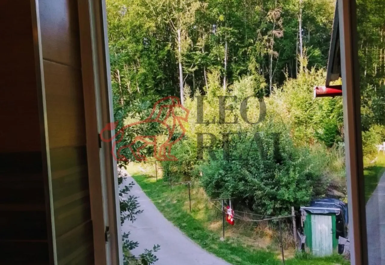 13 (Střední).jpg