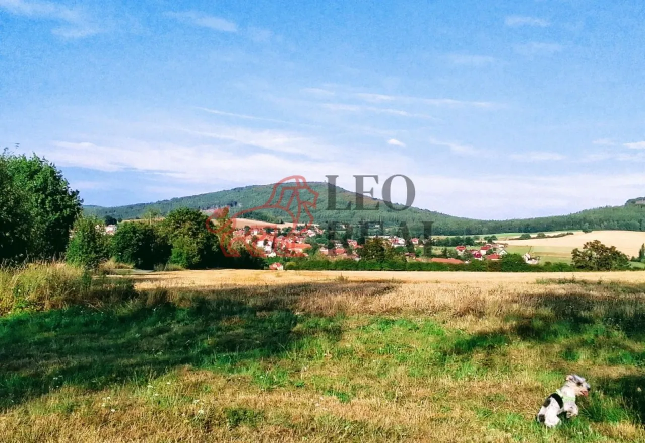 28 (Střední).jpg