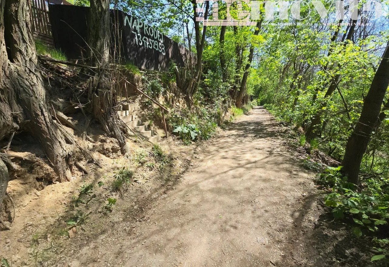 20260503_115013