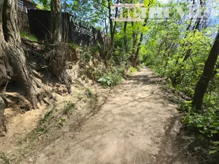 20260503_115013