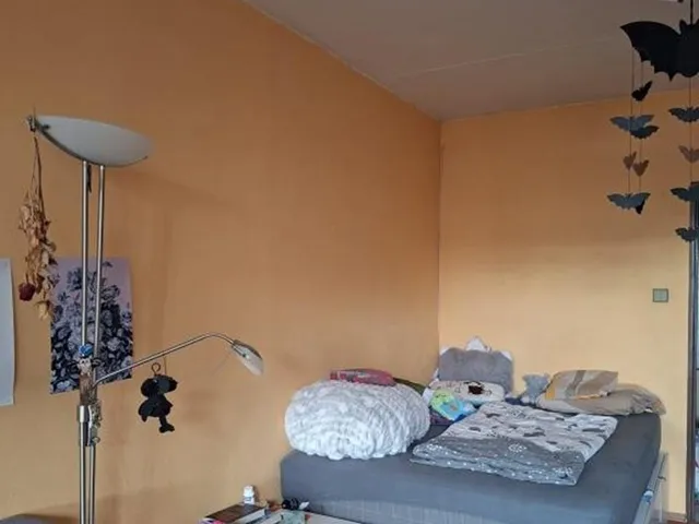 Pronájem pokoje 21 m²