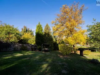 DSC07806
