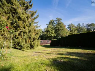 DSC07768