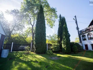 DSC07800