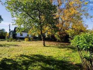 DSC07780
