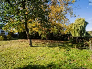 DSC07783