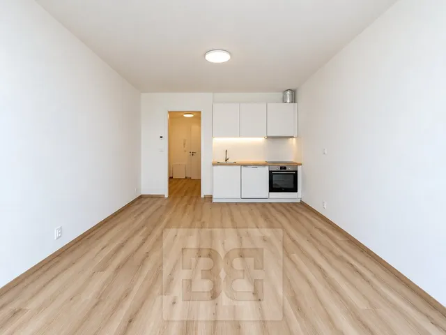 Pronájem bytu 1+kk 35 m²