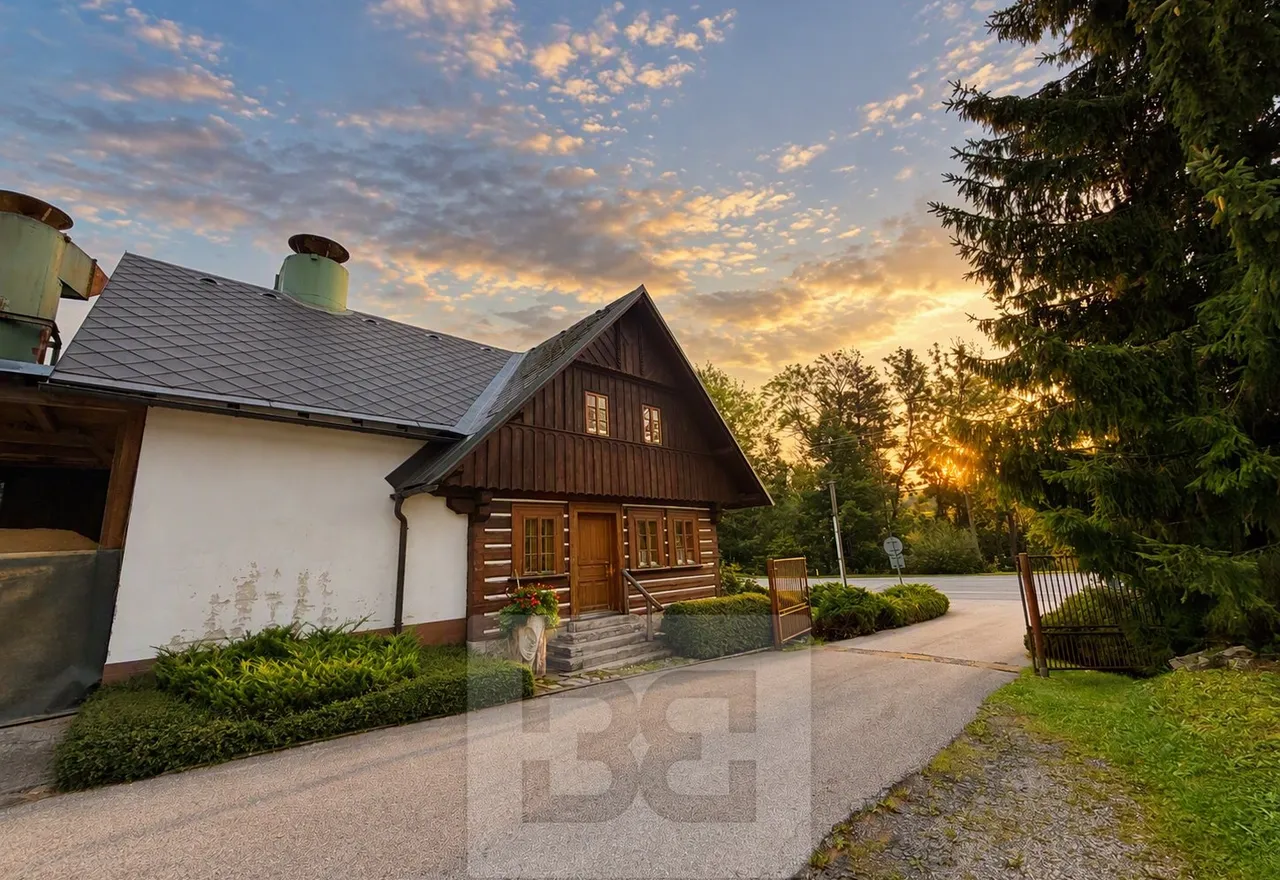 Designer (kopie)