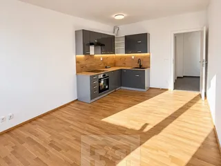 Designer (13)