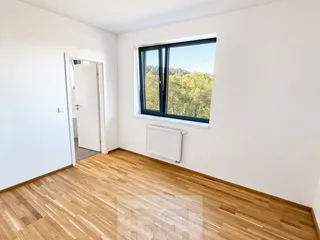 Designer (6)