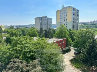Výhled z okna
