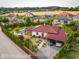 AI Vizualizace