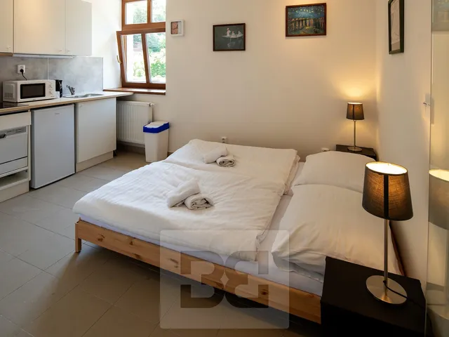 Pronájem bytu 1+kk 17 m²