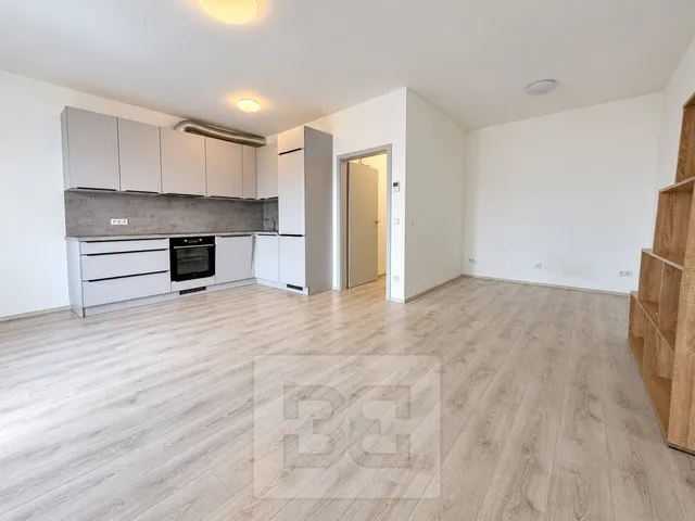 Pronájem bytu 1+kk 44 m²