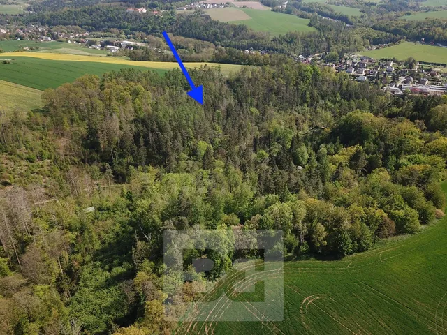 Prodej lesa 4 369 m²