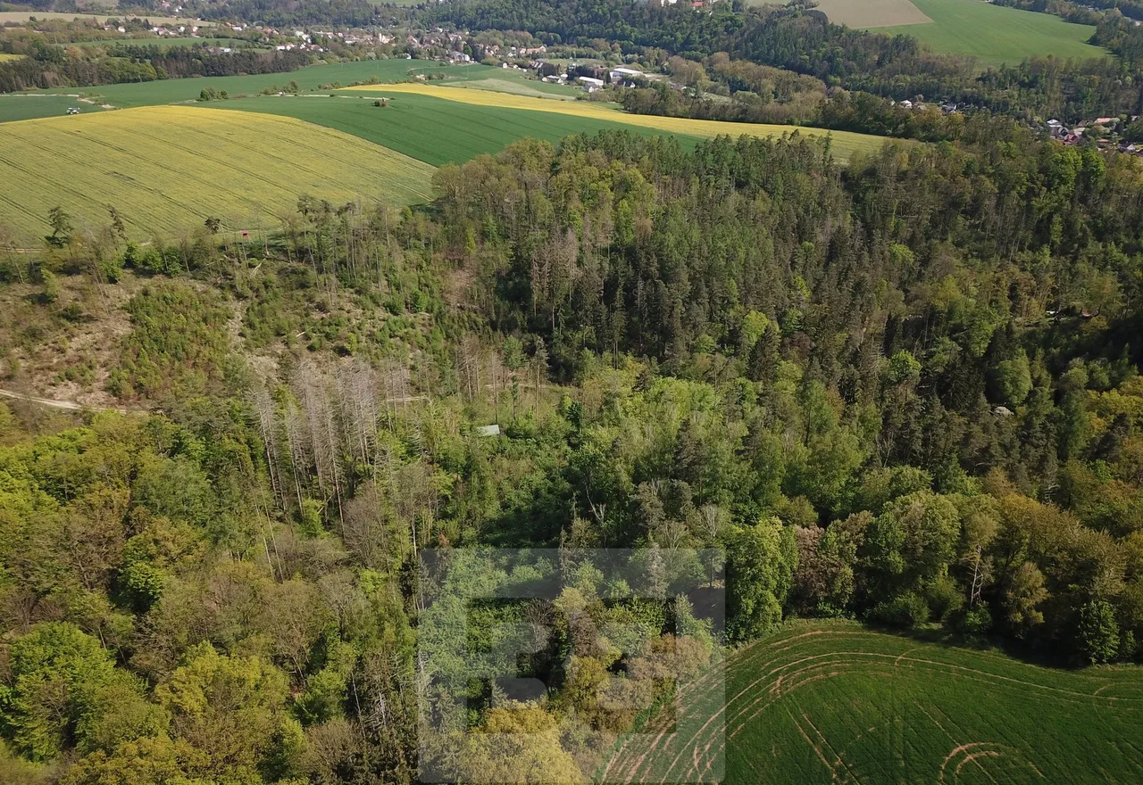 DJI_0400