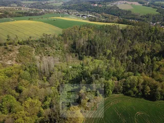 DJI_0400