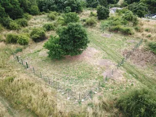 DJI_0244.JPG