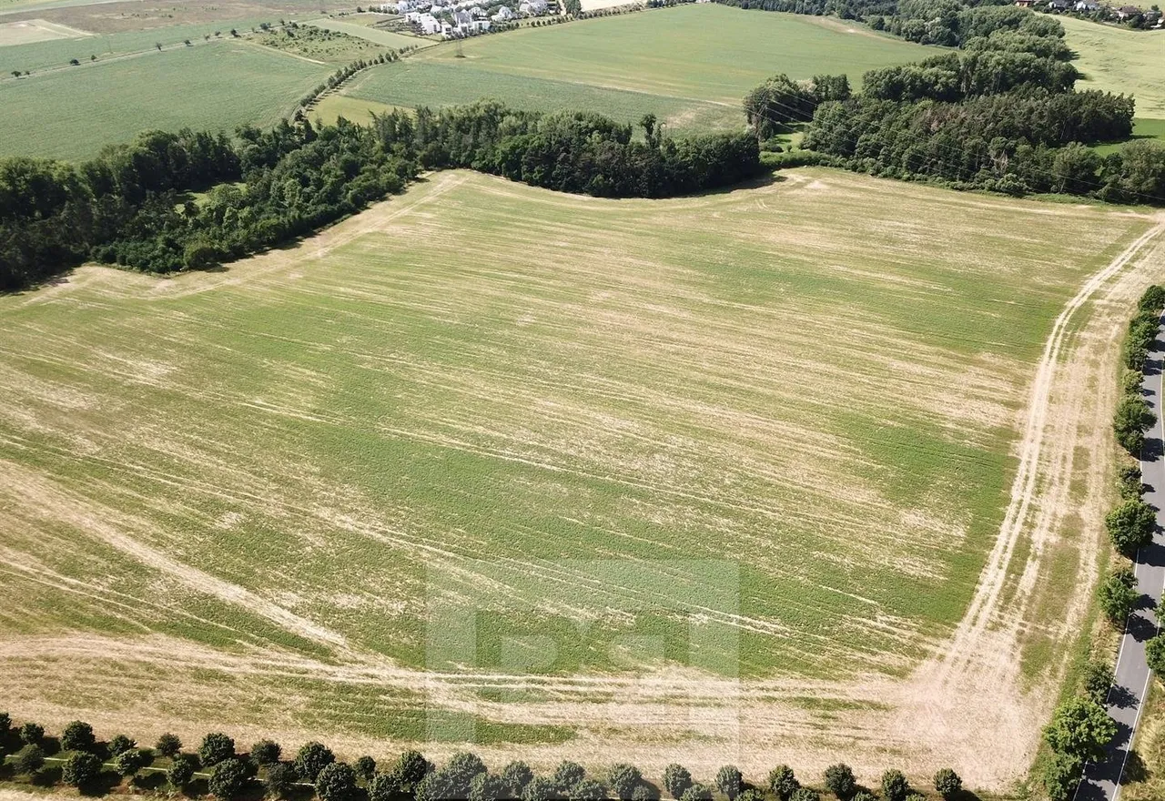 DJI_0011.jpg