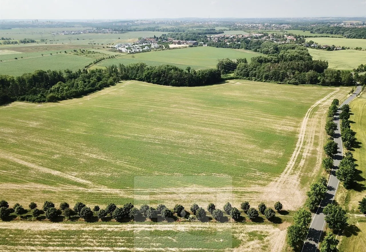 DJI_0002.jpg