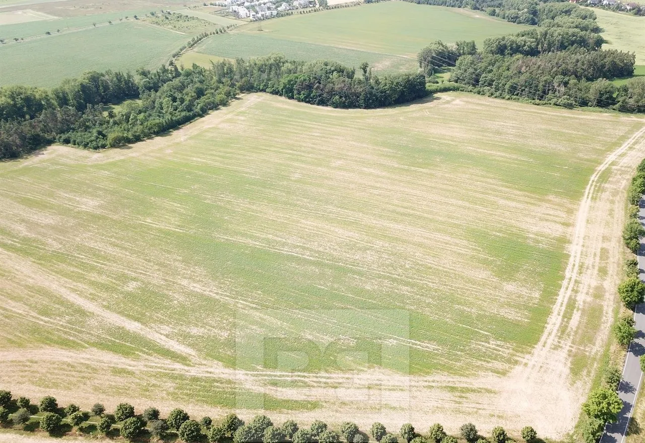 DJI_0012.JPG
