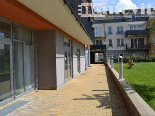 elivec 174