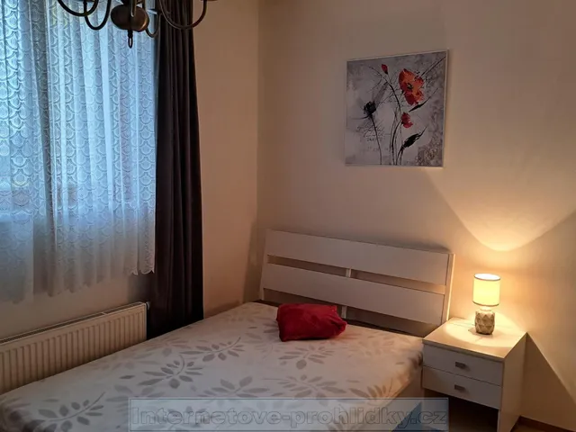 Pronájem pokoje 20 m²