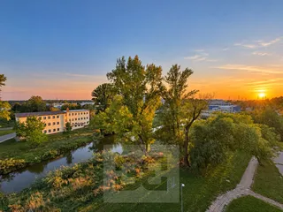 IMG_7770